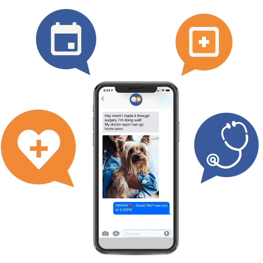 Monetising Vet App
