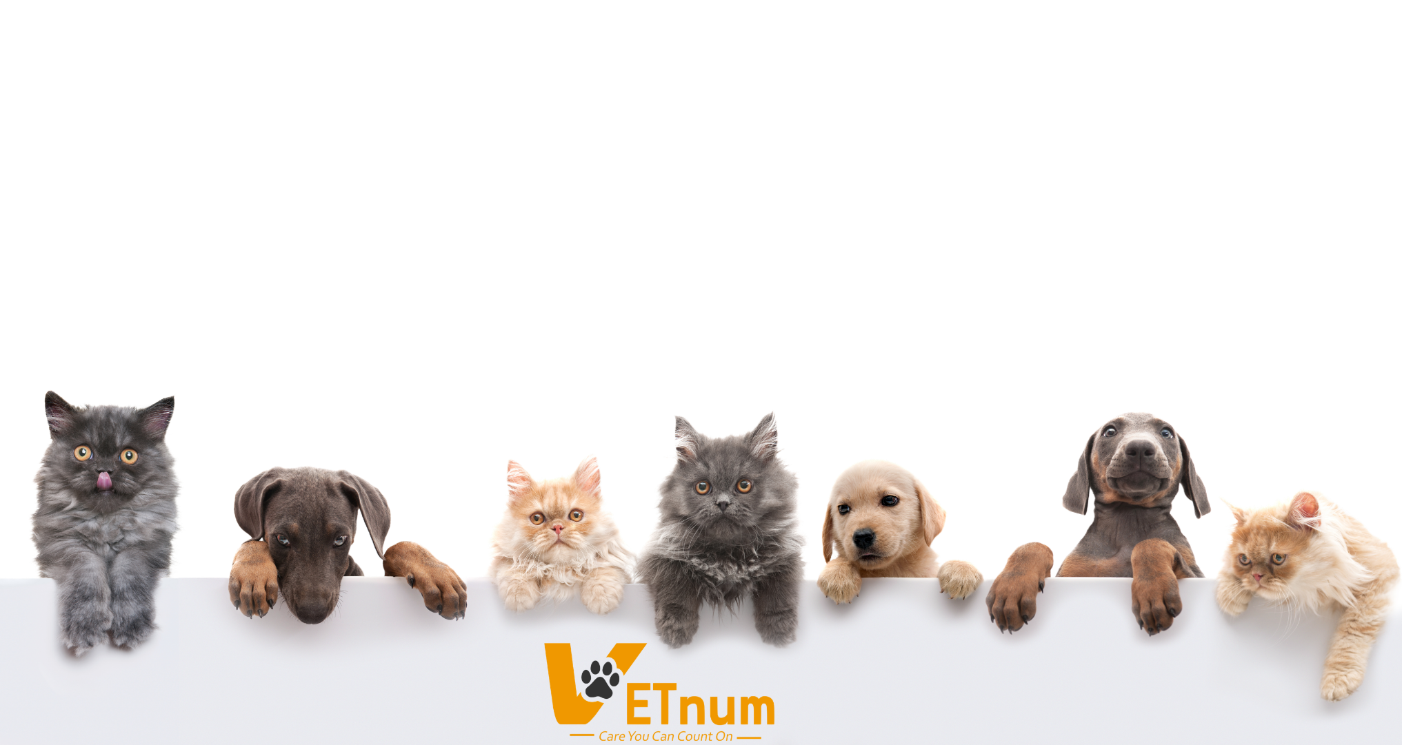 Vetnum Pet Care Hero